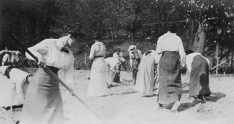 Normal School Students Working in the School  Garden c. 1914.